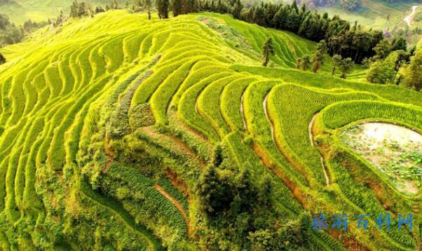 涟源十大景点(涟源有哪些景点)