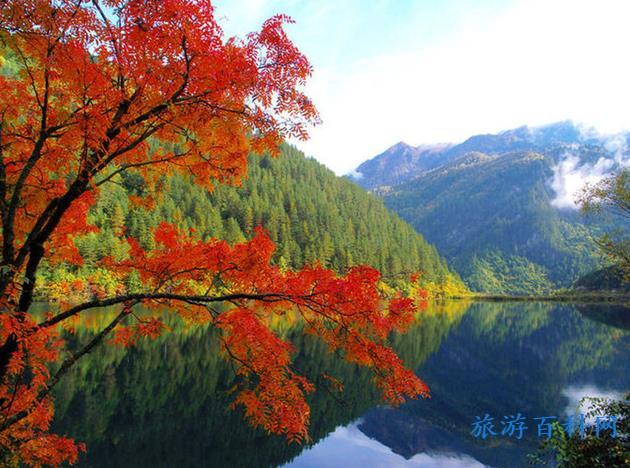国内景点排行(中国旅游胜地前十名排行榜)