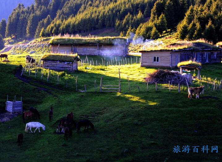 伊犁旅游必去的几个景点，伊犁十大最好玩的地方