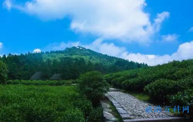 台州旅游必去十大景点台州，台州旅游推荐