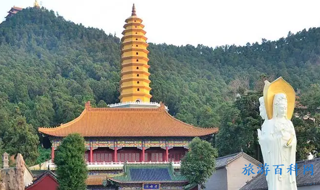 宜阳五树村景点