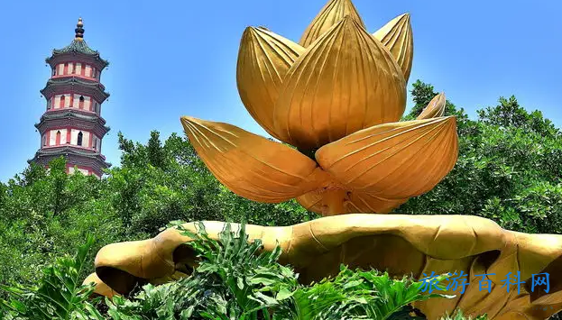 信宜莲花山公园门票？