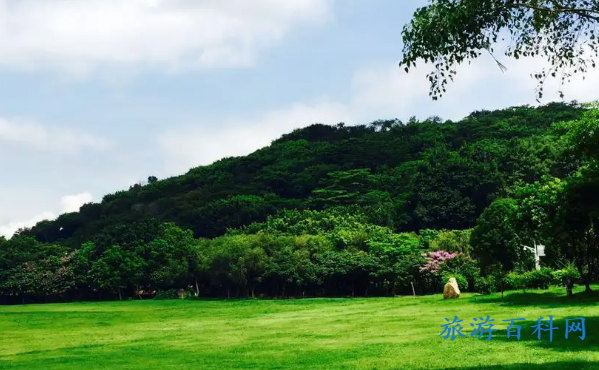 信宜莲花山公园门票？