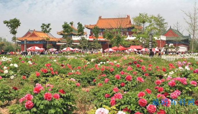 菏泽市景点排行榜(菏泽市旅游景点排名前十)